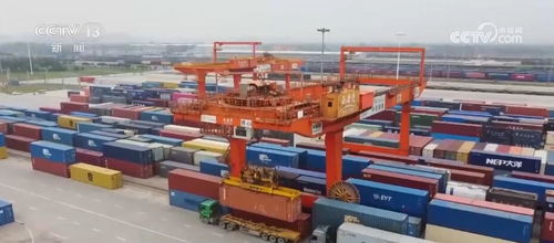 物流業(yè)迎“金九”景氣，9月指數(shù)達(dá)53.5彰顯行業(yè)活力與韌性